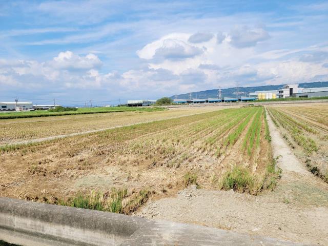 路竹農地-9