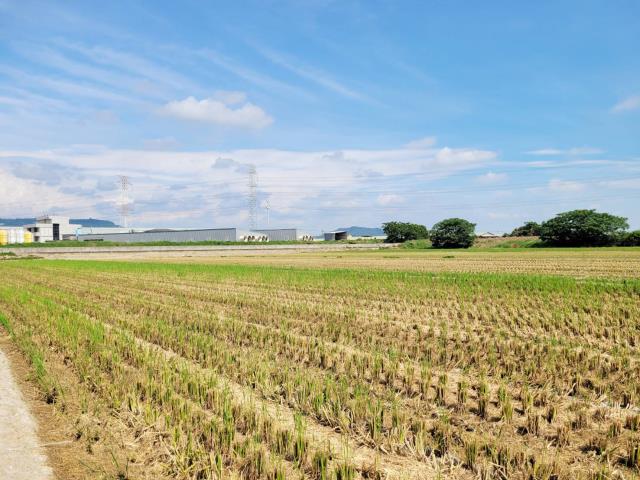 路竹農地-5