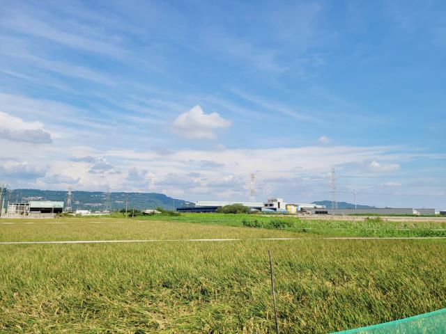 路竹農地-7