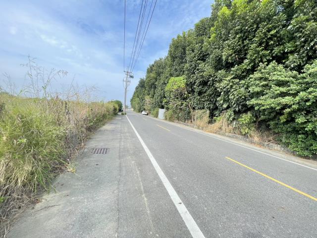 阿蓮農地-9