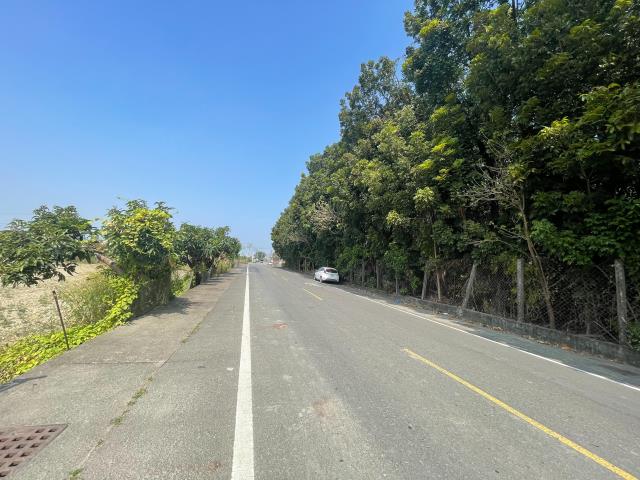 阿蓮農地-0