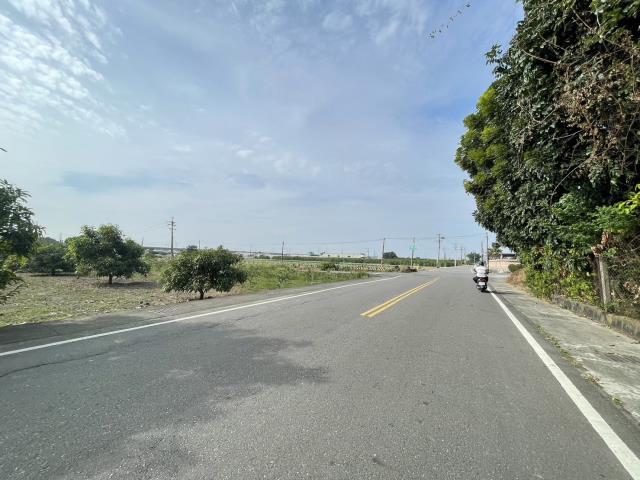 阿蓮農地-6