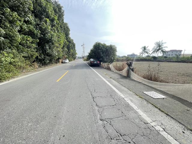 阿蓮農地-7