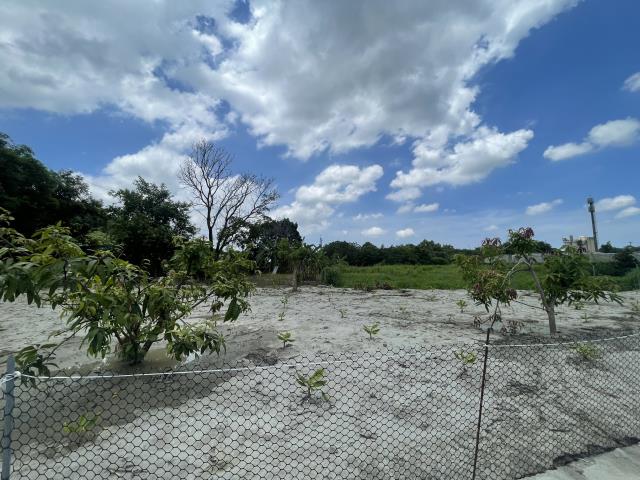 高雄農地-2