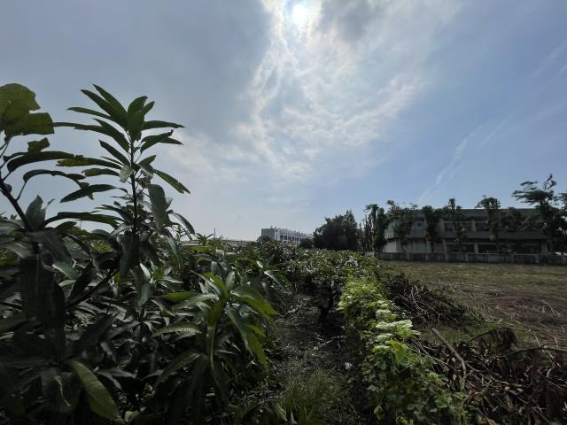 岡山農地-11