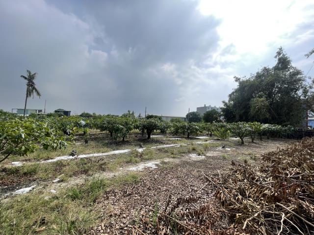 岡山農地-14