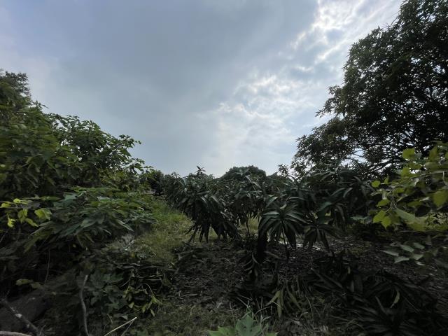 岡山農地-1