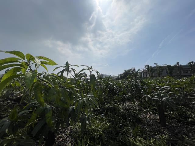 岡山農地-2