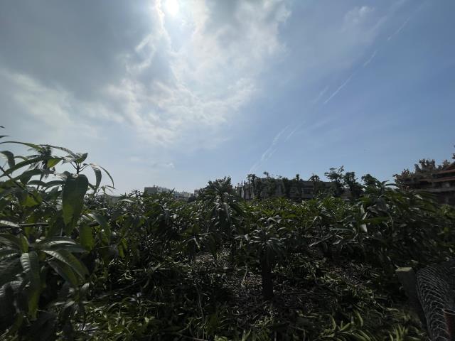 岡山農地-3