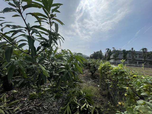 岡山農地-4