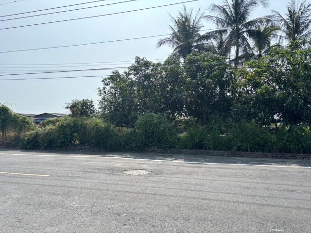 高雄彌陀農地-2