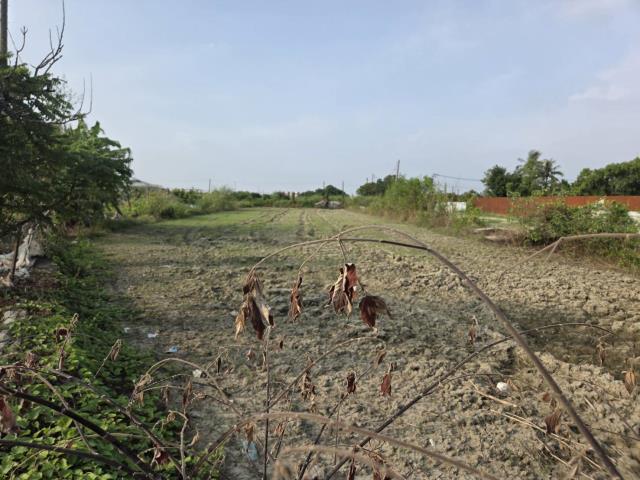高雄梓官農地-0