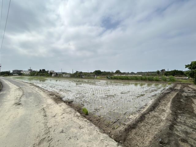 梓官農地-3