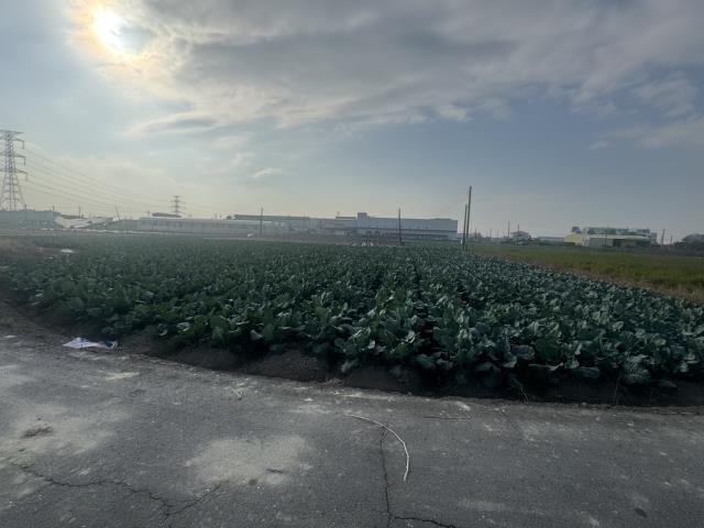 高雄路竹農地-14