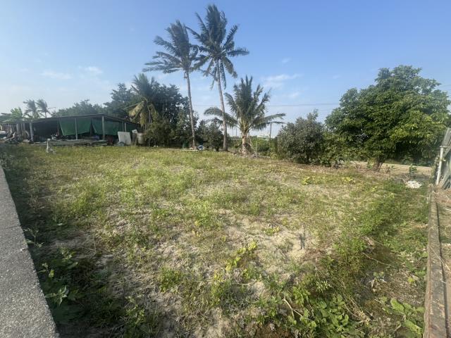 高雄路竹農地-12