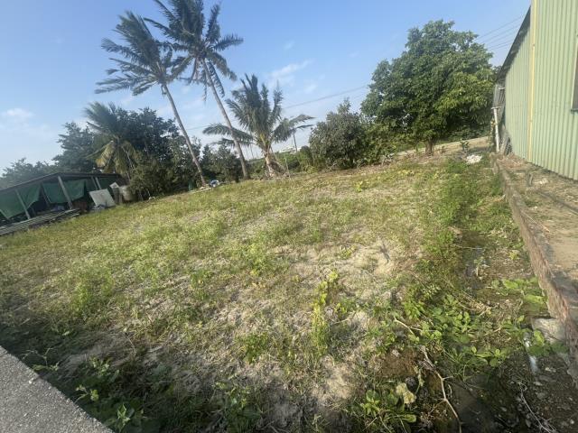 高雄路竹農地-0