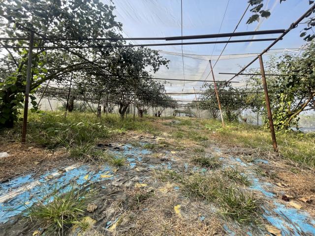 高雄農地-5