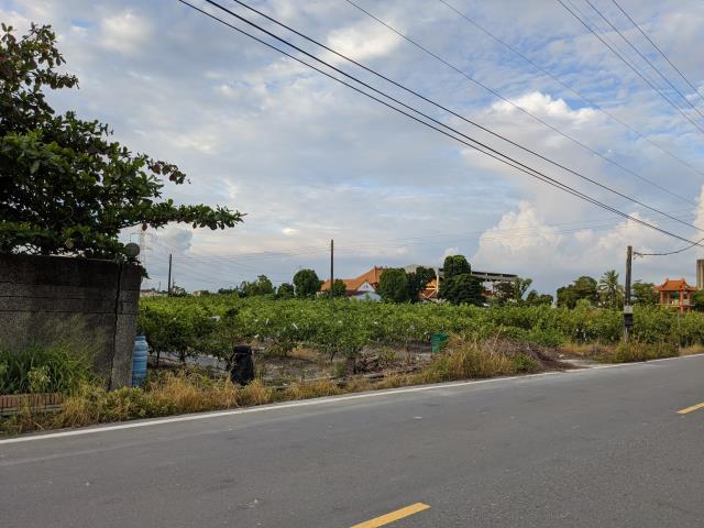 高雄阿蓮農地-1