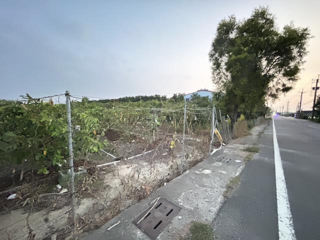 高雄阿蓮農地-5
