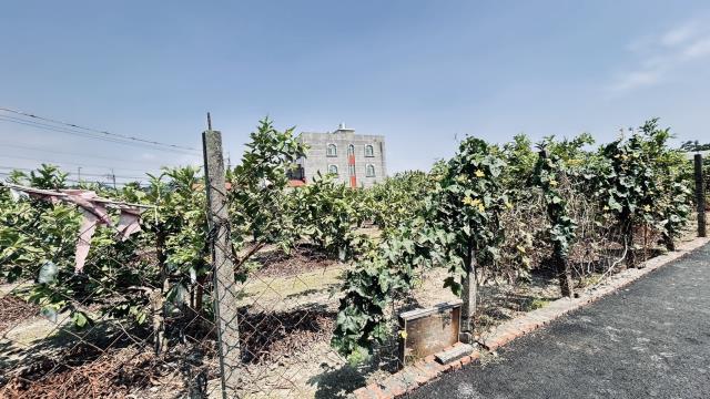 高雄燕巢農地-1
